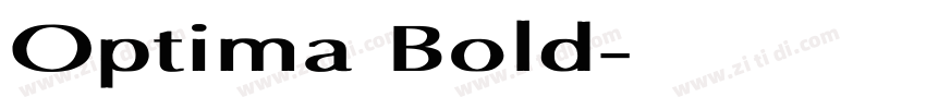 Optima Bold字体转换